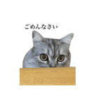ビッちゃんの生活 パート1（個別スタンプ：3）