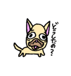 僕、ブルドックです。（個別スタンプ：2）