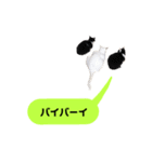 我が家のかわいいねこたちのスタンプ（個別スタンプ：4）