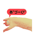 我が家のかわいいねこたちのスタンプ（個別スタンプ：11）