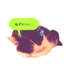 我が家のかわいいねこたちのスタンプ（個別スタンプ：19）