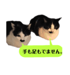 我が家のかわいいねこたちのスタンプ（個別スタンプ：26）