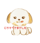 シーズーのもふたん（個別スタンプ：3）