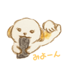 シーズーのもふたん（個別スタンプ：6）