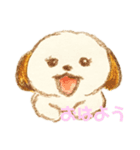 シーズーのもふたん（個別スタンプ：8）