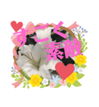 愛するあなたにto Love（個別スタンプ：7）