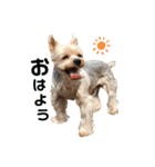 Rudy.T（個別スタンプ：1）