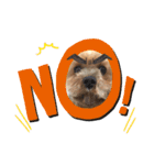 Rudy.T（個別スタンプ：4）