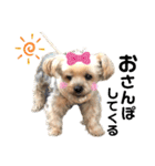 Rudy.T（個別スタンプ：5）