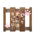 Rudy.T（個別スタンプ：6）