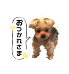 Rudy.T（個別スタンプ：7）