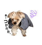 Rudy.T（個別スタンプ：8）