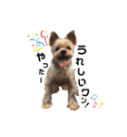 Rudy.T（個別スタンプ：11）