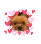 Rudy.T（個別スタンプ：13）