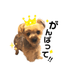 Rudy.T（個別スタンプ：14）