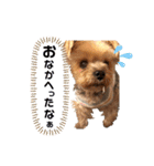 Rudy.T（個別スタンプ：16）