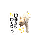 Rudy.T（個別スタンプ：17）