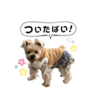 Rudy.T（個別スタンプ：19）