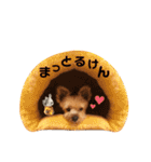 Rudy.T（個別スタンプ：20）