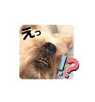 Rudy.T（個別スタンプ：22）