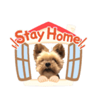 Rudy.T（個別スタンプ：23）