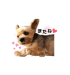 Rudy.T（個別スタンプ：24）