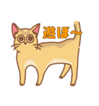 満月おめめの胡桃（個別スタンプ：1）