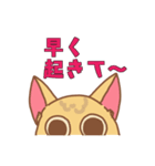 満月おめめの胡桃（個別スタンプ：7）