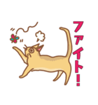 満月おめめの胡桃（個別スタンプ：12）