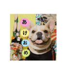 我が家のアイドルJちゃん（個別スタンプ：32）