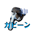 ほのひなひかチャン（個別スタンプ：22）