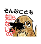 ダメ出しアニマルズ（個別スタンプ：35）
