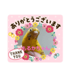 もるかちゃん仲良しファミリー（個別スタンプ：4）