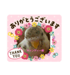 もるかちゃん仲良しファミリー（個別スタンプ：5）