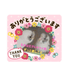 もるかちゃん仲良しファミリー（個別スタンプ：7）