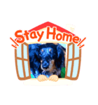 U^ェ^Uスタンプ（個別スタンプ：5）
