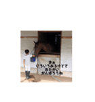 あかりうま（個別スタンプ：14）