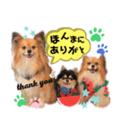 サスケまつりれもん日常ひとことスタンプ③（個別スタンプ：17）