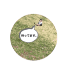 コウ0623（個別スタンプ：30）