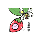 るぱきち（個別スタンプ：2）