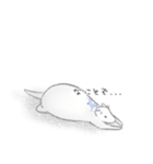 しろい いきもの。。（個別スタンプ：13）