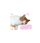 うめくりユ二一クスタンプ（個別スタンプ：3）