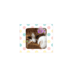 うめくりユ二一クスタンプ（個別スタンプ：18）