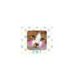 うめくりユ二一クスタンプ（個別スタンプ：30）