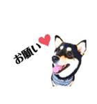 an♡koma（個別スタンプ：14）