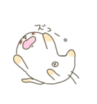ねここねここねこねこ（個別スタンプ：16）