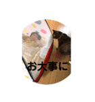 ととまるとの生活（個別スタンプ：10）