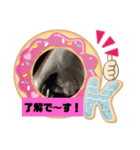 猫のプッチとみかん仕事に使える（個別スタンプ：3）
