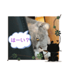 猫のプッチとみかん仕事に使える（個別スタンプ：5）