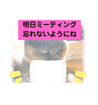 猫のプッチとみかん仕事に使える（個別スタンプ：8）